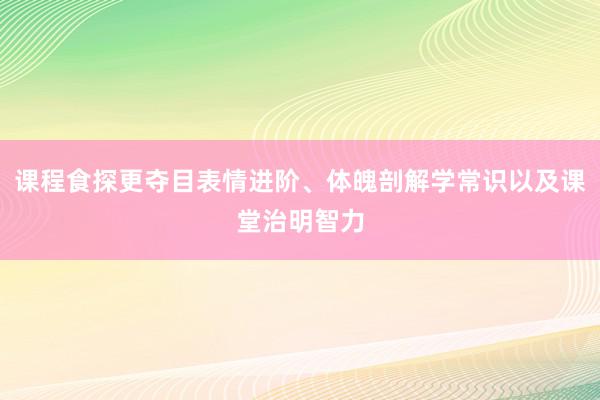 课程食探更夺目表情进阶、体魄剖解学常识以及课堂治明智力